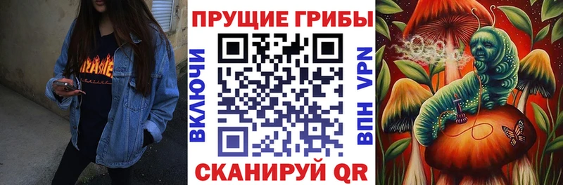 kraken маркетплейс  Новая Усмань  Галлюциногенные грибы Cubensis 